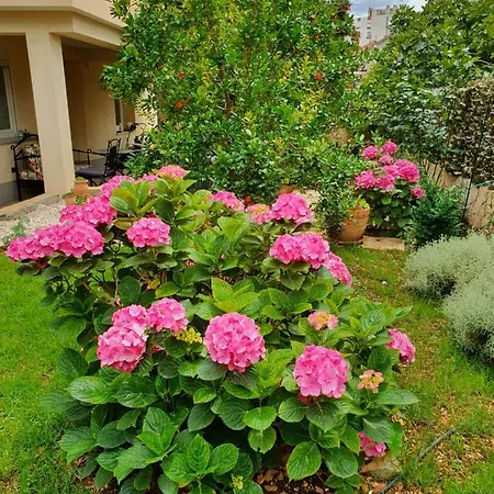 Apartman Tonka