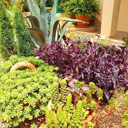 Apartment Tonka Šibenik