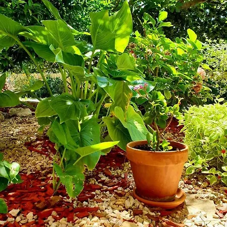 Apartment Tonka Šibenik