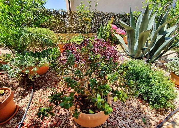 Tonka Σίμπενικ