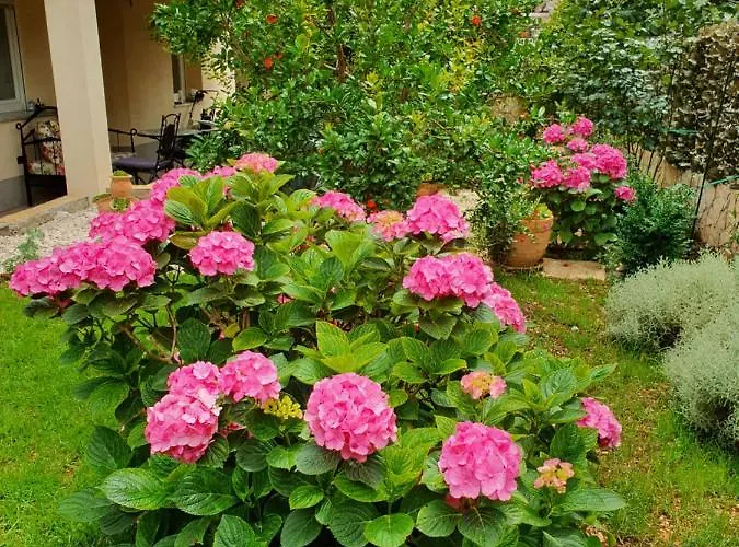 Διαμέρισμα Tonka