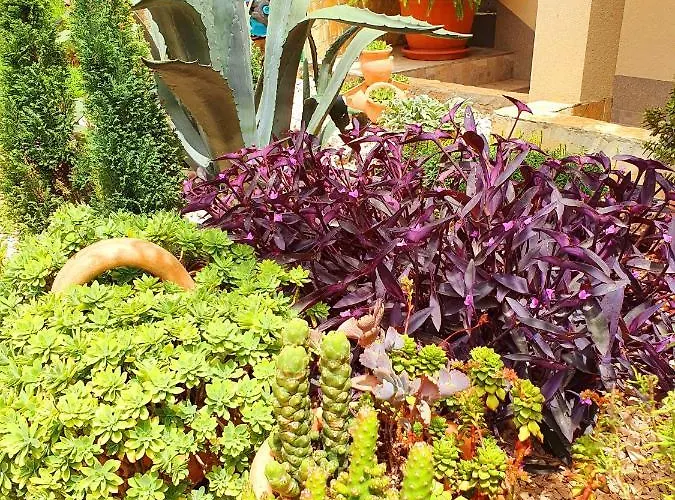 Διαμέρισμα Tonka Σίμπενικ