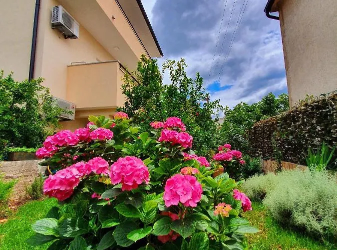 Tonka * Σίμπενικ