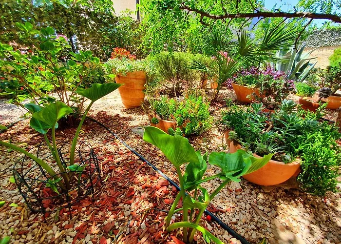 Tonka * Σίμπενικ