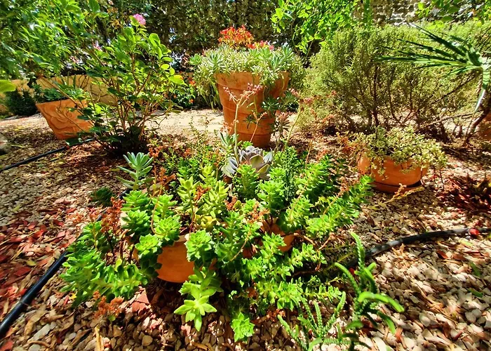 Tonka Σίμπενικ