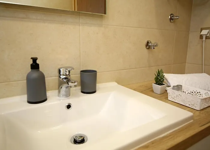 Tonka Σίμπενικ