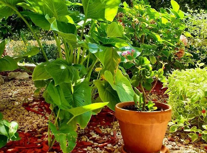 Διαμέρισμα Tonka Σίμπενικ