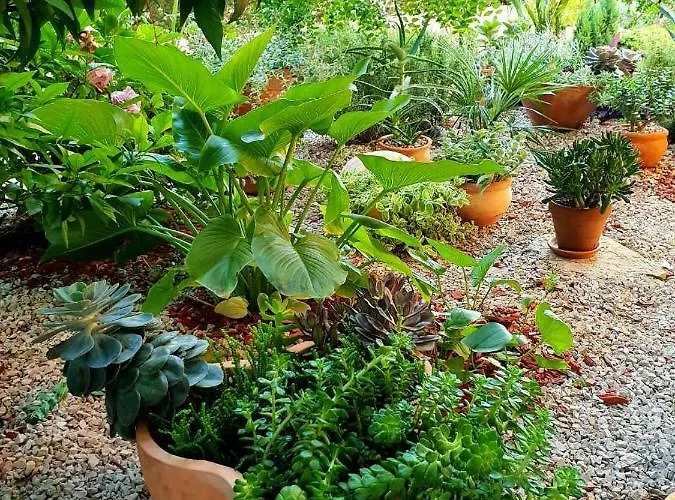 Apartament Tonka Szybenik