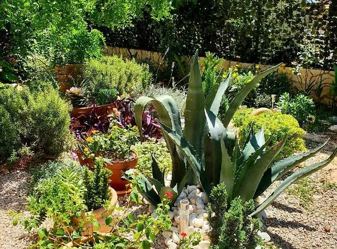 Tonka Apartament Szybenik