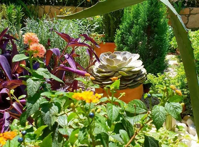 Apartament Tonka Szybenik