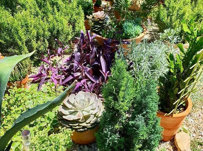 Tonka Apartament Szybenik