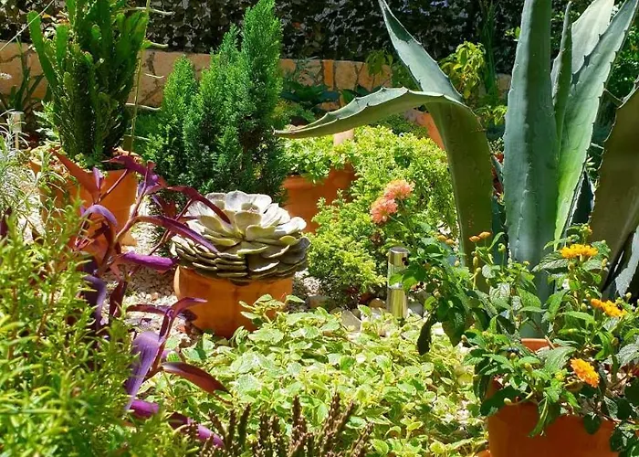 Διαμέρισμα Tonka